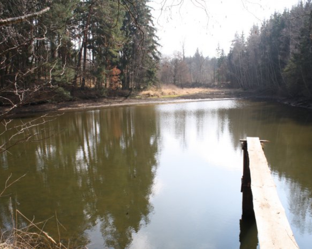 Prodej, vodní plocha, Vracovice